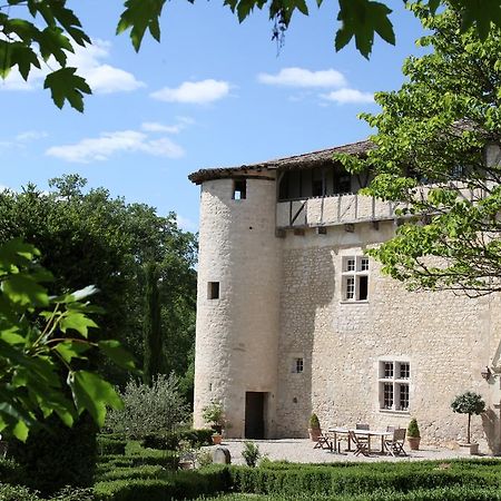 Chateau De Mayragues Castelnau-de-Montmiral Екстериор снимка