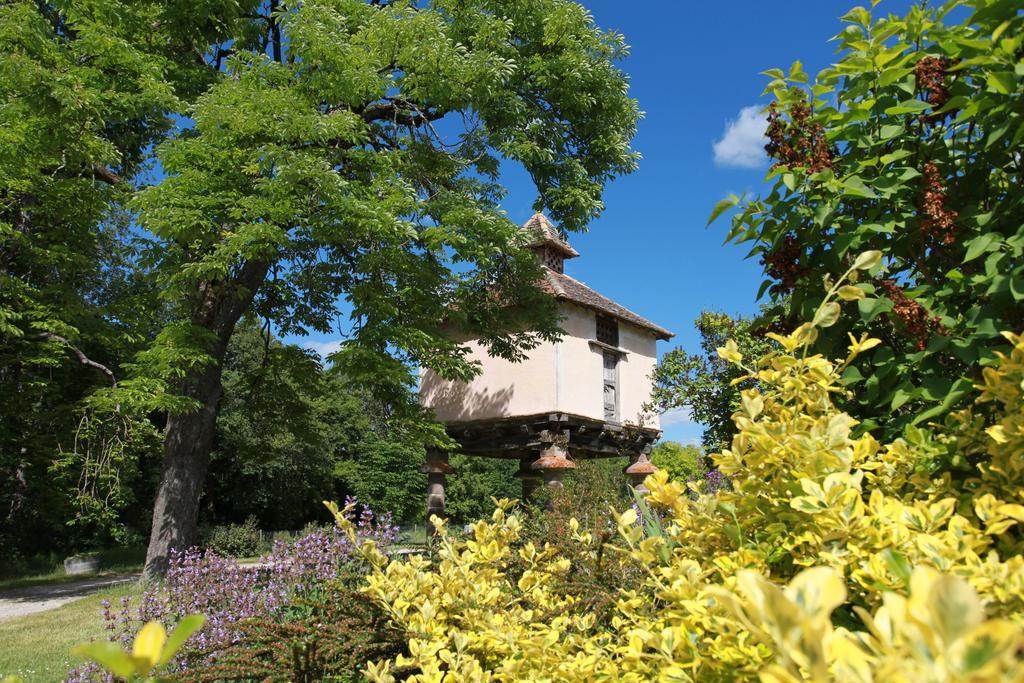 Chateau De Mayragues Castelnau-de-Montmiral Екстериор снимка